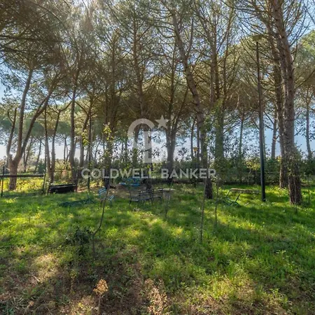 Valle D'itria Cisternino