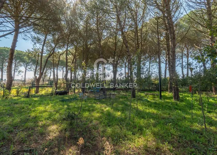 Valle D'itria Cisternino